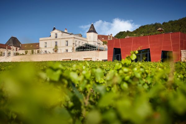 Séjour Vignes et Château