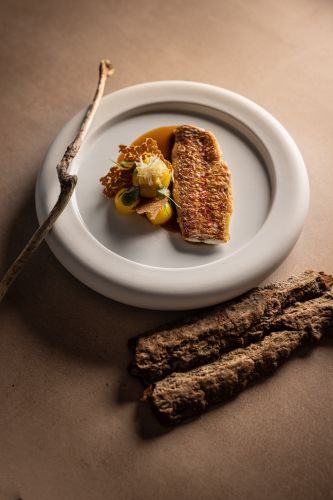 Menu Marée