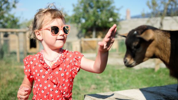 Activités enfants : ferme et jardin